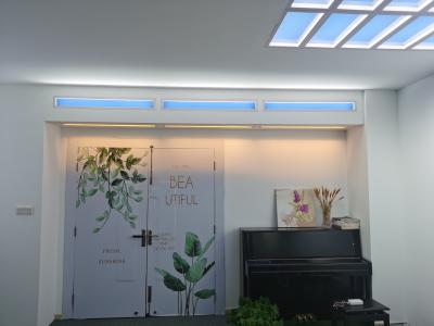 China Wide Light Coverage Artificial LED Skylight with 30° Light Direction Long-lasting Lighting for sale