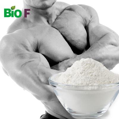 China MK 2866 Muscle Growth Protein Powder CAS 1165910-22-4 for sale