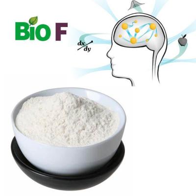 China White Phenibut Powder Nootropics Raw Material 99% 3060-41-1 for sale