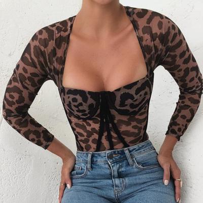 China HOT Spandex/Polyester Leopard Print Sexy Underwear Women Panties Jumpsuit Bottom Cut Out Long Sleeve Mesh 42 Size Boob Corset for sale