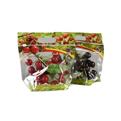 China Reusable Clear Plastic Moisture Proof Custom Zip Lock Fresh Cherry Tomato Stand Up Pouch Packaging for sale