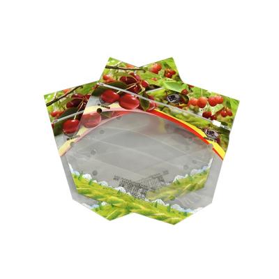 China Factory Price Anti-fog Moisture Proof Fresh Plastic Bag Fruit Vegetable Zipper Packing Packaging With Vent Holes for sale