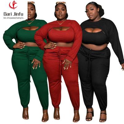 China Plus Size Long Sleeve Crop Top And Pants Hollow Out Three Piece Sets Fall Plus Size Womens Clothing for sale