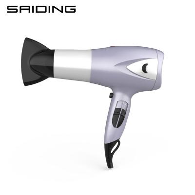 China 2022 Best Household Professional Cheap Salon 2 Speeds Ionic Custom Blow Dryer for sale