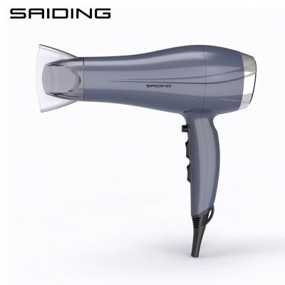 China New Design Professional Ionic Electric Ionic Hair Dryer High Quality Hair Dryer for sale