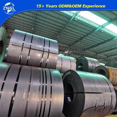 China 304 316L Hot/Cold Rolled/Stainless/PPGI PPGL Gi/Color Coated/Tinplate/Galvanized/Carbon/Zinc Coated/Galvalume/Steel Coil for sale