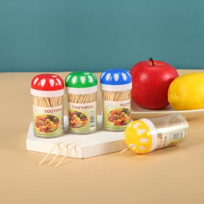 China Eco-friendly Travel portable transparent small vase toothpick holder disposable toothpicks for sale