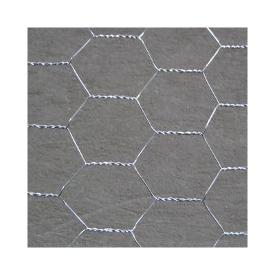 China Corrosion Resistance Galvanized Net Hexagonal Chicken Wire Mesh Fence Netting for sale