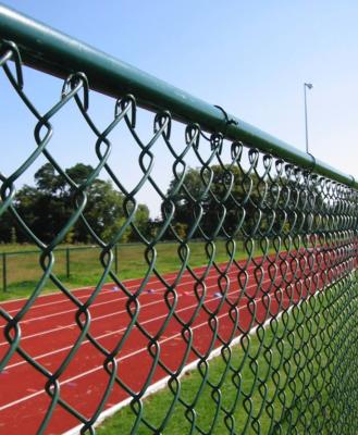 China Fence Mesh Galvanized or PVC Coated Chain Link Farm Fence PVC Coated Fence Used Chain Link Panels for sale