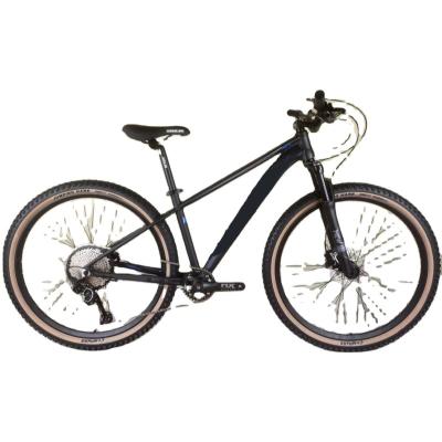 China Wholesale Electric Bike 1000W 48V Fat E-Bike Steel Tire 20 Inch Most Popular Electric Bicycle for sale