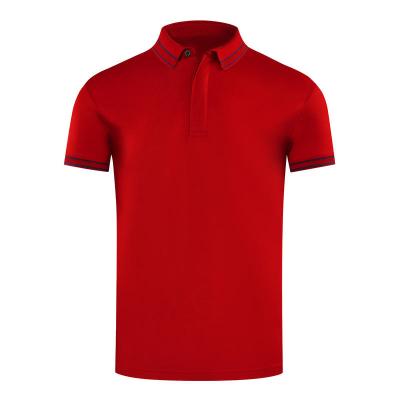 China Dry Fit Custom Mens 25%Mercerized Cotton Polo Shirt Excellent Touch Casual Polo Shirts for sale