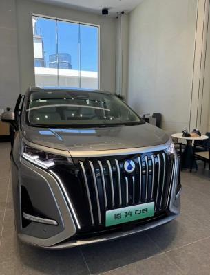 China Distribuidores Tengshi 2024 EV 600KM con tracción en las cuatro ruedas Vehículo insignia de 5 puertas y 7 asientos en venta