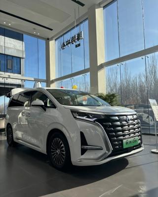 China Tengshi 2024 EV 600KM Tração nas quatro rodas Modelo de luxo MPV de 5 portas e 7 lugares à venda