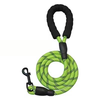 China Sustainable Lead 250*1.2cm Nylon Rope Dog Leash Pet Training for sale