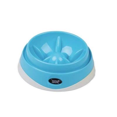 China New Large Capacity Food And Water Double Sinks Non-Toxic Sustainable Pastel Slow Feeder Dog Bowl for sale