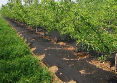 Chine Vert noir non-toxique de tissu de lutte contre les mauvaises herbes de tissu d'agriculture de couverture végétale/paysage à vendre