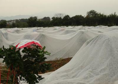 Chine D'hiver de protection de tissu de polypropylène preuve froide de textile tissé non respirable à vendre