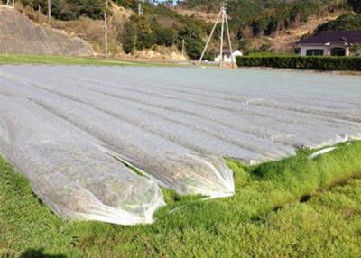 中国 非編まれた地被植物の農業の非編まれた生地は雑草が景色を台無しにすることを防ぎます 販売のため