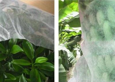 China Good Transparency Agriculture Non Woven Fabric Non - Poisonous Frostproof Fabric for sale