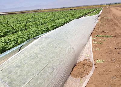 China Tecido não tecido para cobertura agrícola, material 100% PP, antienvelhecimento à venda