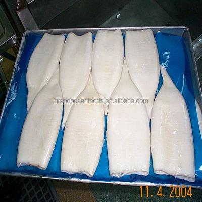 China NATURE Toderodes pacificus squid tube U5 for sale