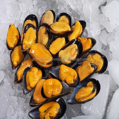 China FROZEN frozen cooked mussel meat with half shell for sale