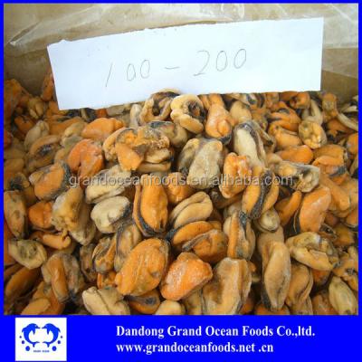 China FROZEN frozen boiled blue mussel meat for sale