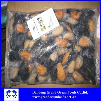 China FROZEN frozen cooked half shell mold for sale