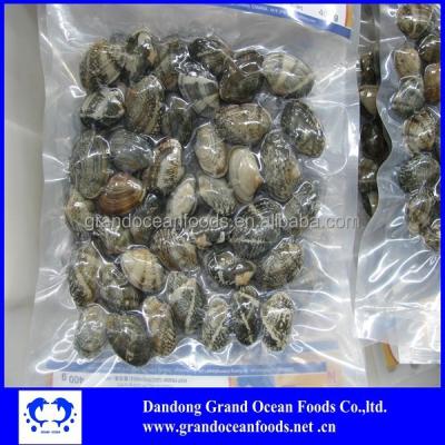 China Cooked Frozen Cooked Baby Clams -- Export USA Market for sale