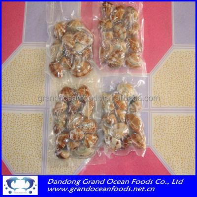 China FROZEN FROZEN BOILED VACUUM PACKED CLAMS for sale