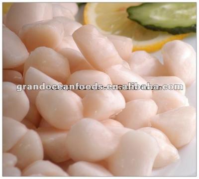 China FROZEN Frozen Scallop Meat, IQF for sale