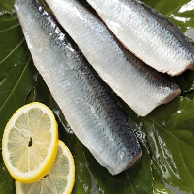 China Low Sugar Herring Fillet for sale