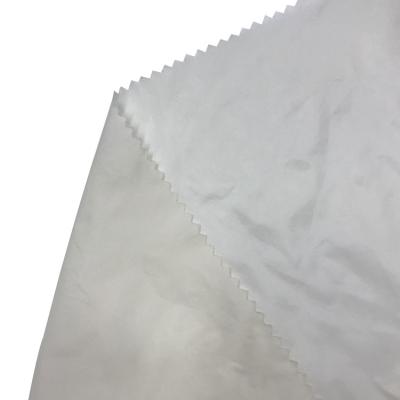 China Newly Downproof 380t Sheer Nylon Fabric for sale