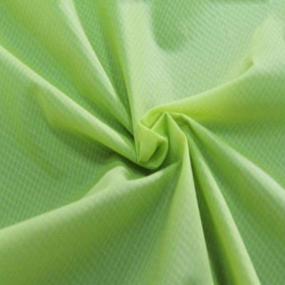 China Downproof Silicone 20D Ripstop Newly Nylon Fabric For Tent for sale