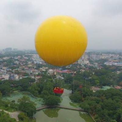 China Outdoor Advertising Advertising Inflatable Hot Air Balloon/Helium Balloon/Foil Balloon for sale