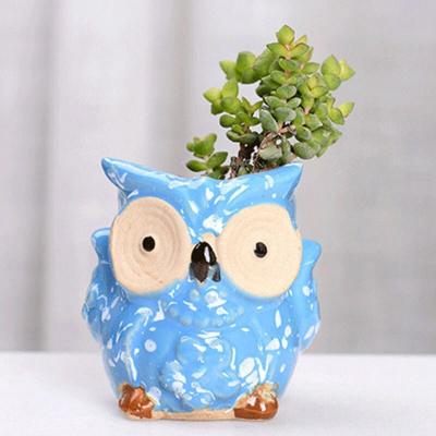 中国 Modern Ceramic Desktop Flower Pot Planter Set 6pcs Chandelier Base Series Owl Flower Pots Planters Flowing Succulent Cute Design 販売のため