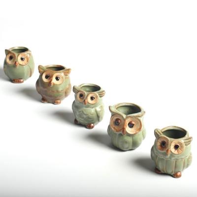 China Modern Price of 5 Owl Shapes Small Decorative Cute China Flower Pots en venta