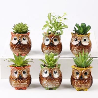 中国 Succulent Planter Pot Garden Decoration Owl Shape Garden Flower Desktop Cartoon 6Pcs/Set Indoor Pot Ceramic Creative Design Plant 販売のため