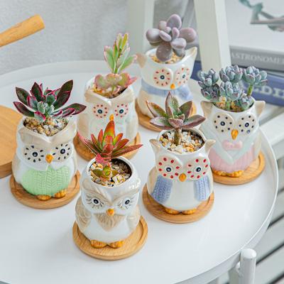 中国 Wholesale Flowerpot Modern Creative Personality Succulents Planter Pots Flower Cartoon Owl Ceramic Indoor Flower Pots 販売のため