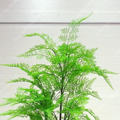 China Home Decoration Asparagus Fern Grass Plants Long Lasting Realistic Wedding Tree for sale