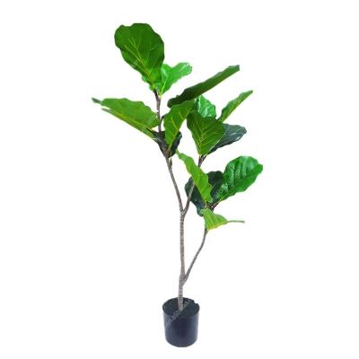 China Lifelike 80cm PE 80cm Lifelike Artificial Ficus Lyrata Indoor Potted Plant Fiddle Leaf Fig Tree for sale