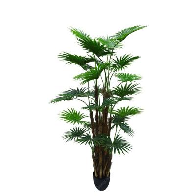 China 170cm Indoor Fake Trunks Decoration Plastic Artificial Palm Tree Traditional Wholesale Green Plants for sale