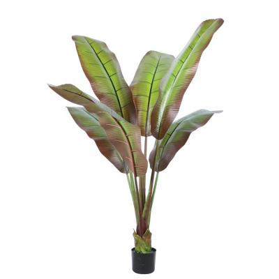 China New Real Fake Big Touch Lasting Fake Red Banana Palm Tree for sale