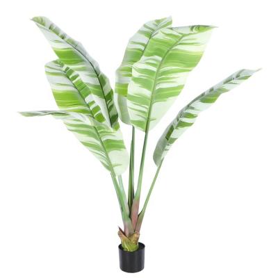 China New Real Durable Touch Green And White Variegated Leaves Large Artificial Banana Tree for sale