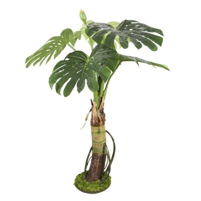 China New Durable Showcase Display Landscape Large Decorative Plastic Monstera Plant for sale