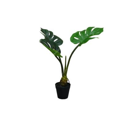 China Factory direct sales table decor durable plastic bonsai mini plants Artificial Monstera plant for sale