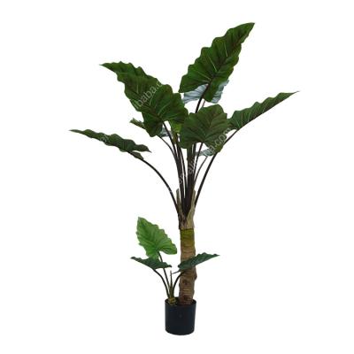 China High Grade Wholesale Durable 160cm Trunks X2 Tree Varied Artificial Rainbow Taro Tree for sale