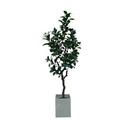 China Factory Wholesale Durable Home Decorative Evergreen Artificial Banyan Tree for sale