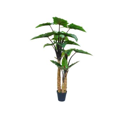 China Durable 170cm Tropical Tree Restaurant Mall Home Ornament Use Large Rainbow Plant for sale