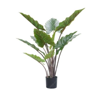 China Durable Wholesale Home Hotel Ornament Artificial Taro Tree for sale